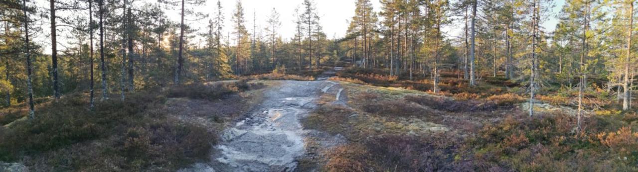 Hyttingsfabodstugor Borlänge Eksteriør billede